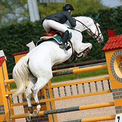 agonismo e gare sportive