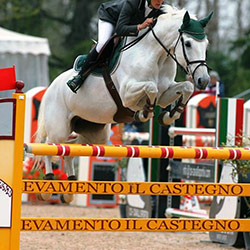 agonismo e gare sportive