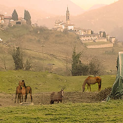 Le nostre strutture - Vallonghe e Il Pioppeto