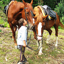 Trekking ed escursioni a cavallo