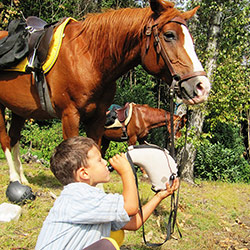 Trekking ed escursioni a cavallo