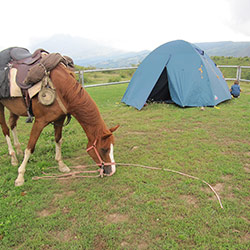 Trekking ed escursioni a cavallo