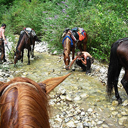 Trekking ed escursioni a cavallo