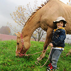 Trekking ed escursioni a cavallo