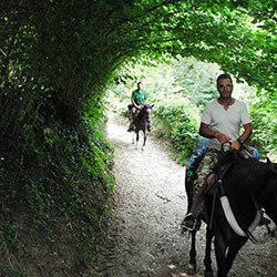 Trekking ed escursioni a cavallo