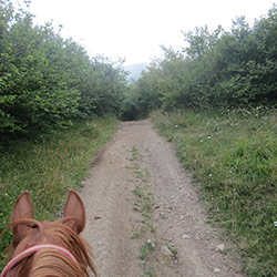 Trekking ed escursioni a cavallo