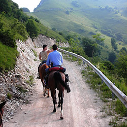 Trekking ed escursioni a cavallo