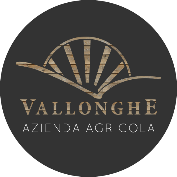 azienda agricola vallonghe logo