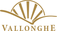 logo vallonghe oro