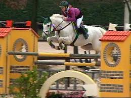 Dafne del Pioppeto, esemplare cavallo sportivo Vallonghe